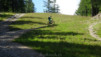 pas_moutons_16e_008