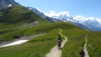 pas_moutons_16e_020