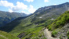 pas_moutons_16e_021