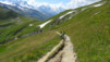 pas_moutons_16e_023