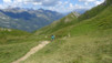 pas_moutons_16e_025