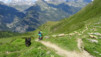 pas_moutons_16e_029