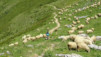 pas_moutons_16e_030