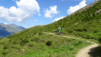 pas_moutons_16e_034