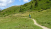 pas_moutons_16e_035