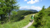 pas_moutons_16e_037