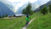 pas_moutons_16e_040