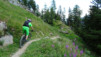 pas_moutons_16e_043