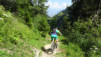 pas_moutons_16e_045