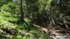 pas_moutons_16e_046