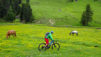 A chacun sa monture ! passo_duron_007