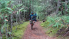 pemberton_012