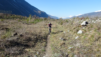 pichiour_001