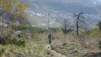 pichiour_002