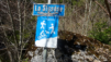 pichiour_007
