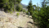 pichiour_013