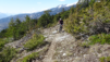pichiour_016