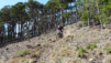 pichiour_025