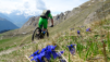 pierre-a-voir_22_022