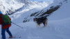pindin_0024