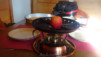 pindin_0041