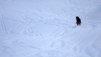 pindin_0046