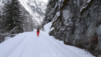 pindin_0049