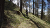 pleyeux_0009