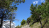 pleyeux_0020