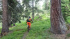 pochet_17_001