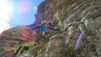 pochet_17_012