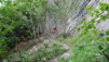 pochet_17_034