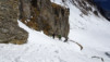 pointe-aufalle_008