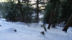 pointe_euzanne_003