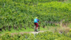 portail_21_035