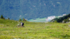 portail_22_009
