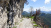 pregasina_012