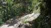 pregasina_022