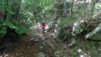 pregasina_024