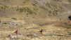 punta_chaligne_011