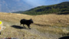 punta_chaligne_031