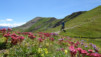 punta_chaligne_2020_024