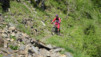 rappetal_006