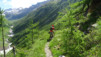 rappetal_007