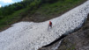 rappetal_010
