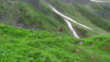 rappetal_021
