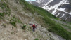 rappetal_023