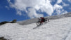 rappetal_029
