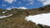 rappetal_040