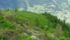rappetal_047